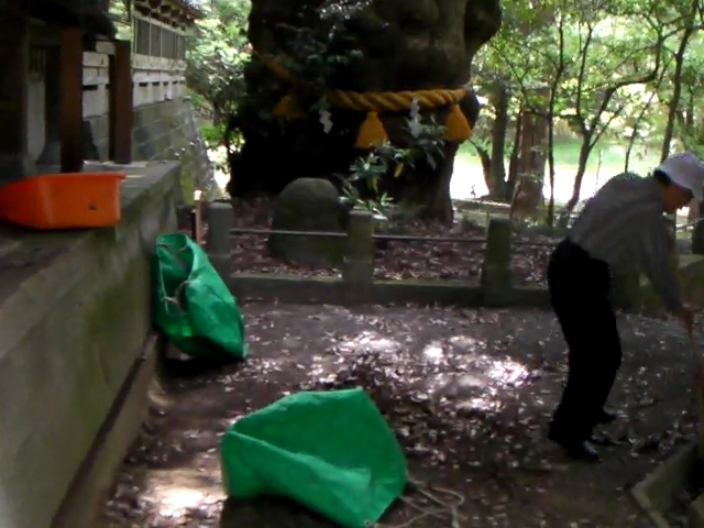 狭野神社ご神木前の掃除